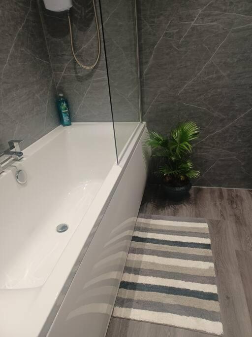 Beautiful Masons Hideaway Studio Apartment Bridgend  Eksteriør bilde